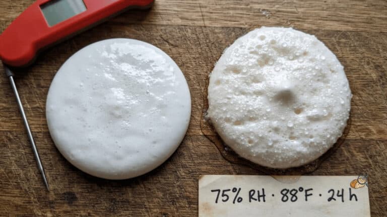 Side-by-side macro of glossy Swiss meringue and soft-set French meringue at 75% humidity