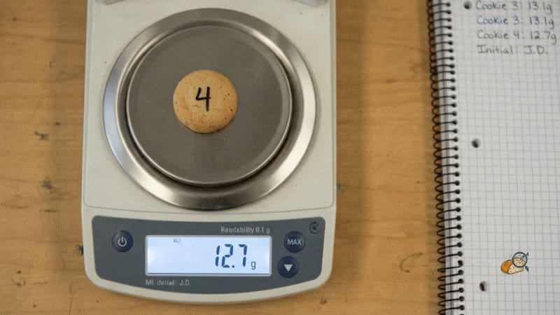 Both test jars on one shelf with a thermometer placed between them