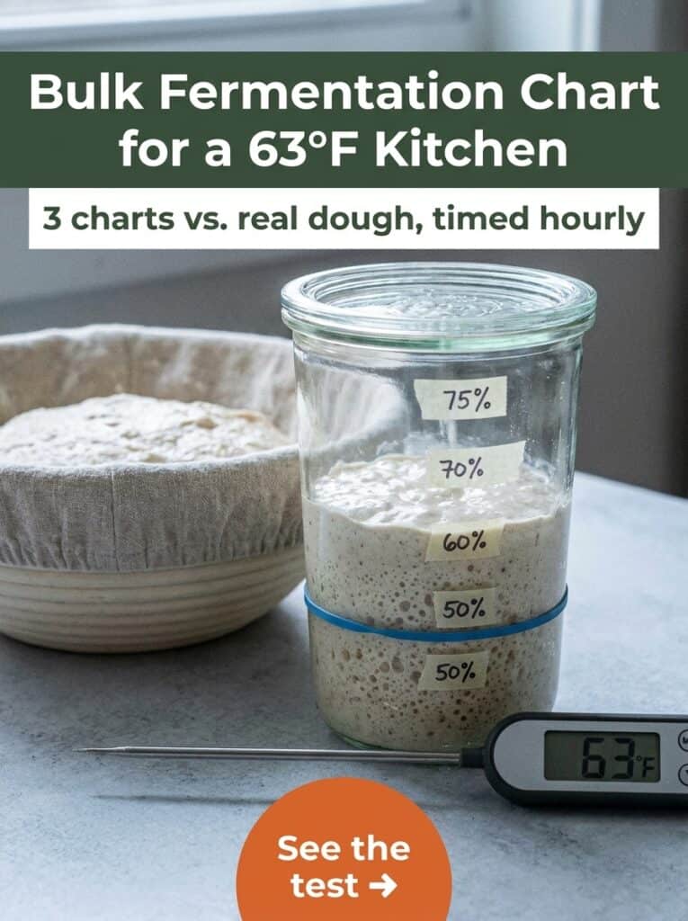 3 Bulk Fermentation Charts, Checked Against Real Dough at 63°F