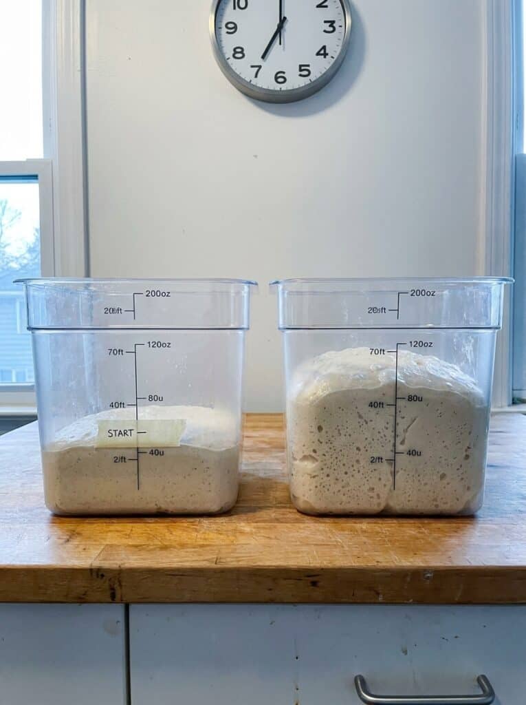 Two containers of no-knead dough at 7 a.m., one doubled and one barely risen