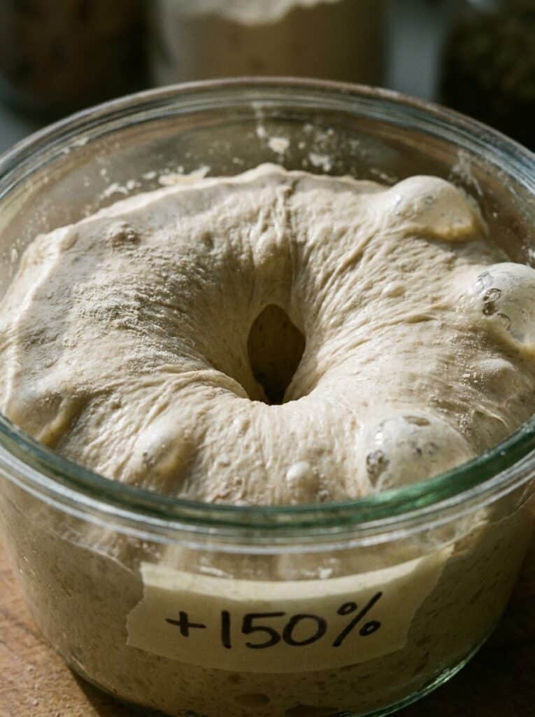 The Poke Test in Photos: Proofed Dough at 3 Stages, Timed 5 Finger dent staying open in dough that rose by 150 percent
