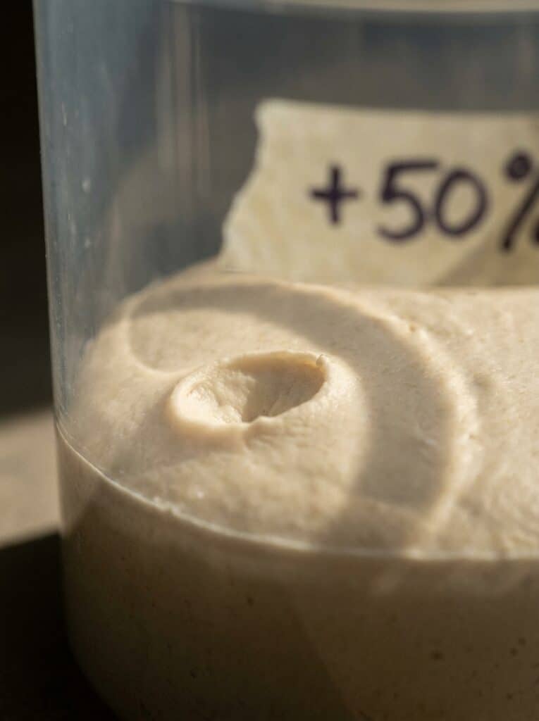 The Poke Test in Photos: Proofed Dough at 3 Stages, Timed 3 Finger dent closing fast in dough that rose by half