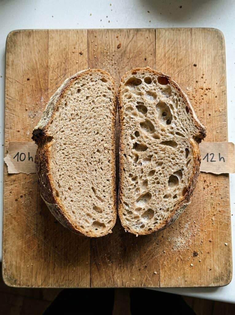 Crumb of two sourdough loaves after a 10-hour and a 12-hour bulk